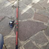 Canna Colmic Lola con mulinello Shimano