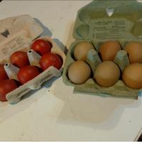 Galline razza marans e olive egger