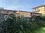 Immagine 7