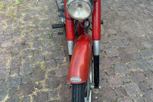 Capriolo turismo veloce