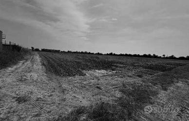 RGE 57/2024 Tribunale Verona Lotto 3)