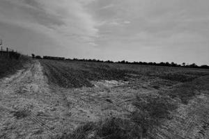 RGE 57/2024 Tribunale Verona Lotto 3)