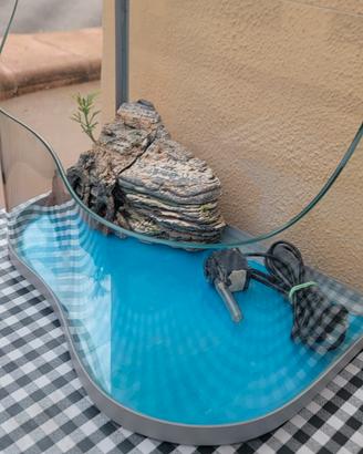 acquario  per tartaruga  e pesciolini rossi 