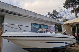 Ranieri 5.50 mercury f40 pro