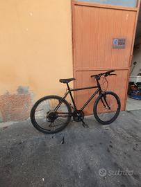 bicicletta