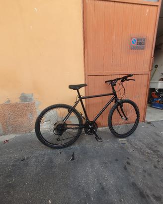 bicicletta