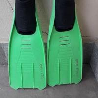 Pinne Mares Clipper