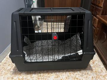 Kennel cane auto