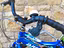 Immagine 2