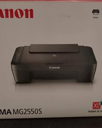 CANON PIXMA MG 2550S 