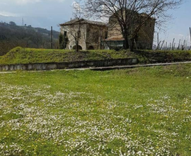 Antico Rustico di masseria con Vigneto