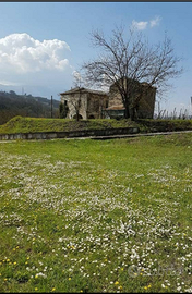 Antico Rustico di masseria con Vigneto