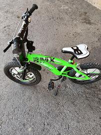 Bici dinonikes