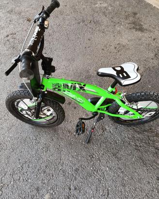 Bici dinonikes
