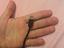 Immagine 2