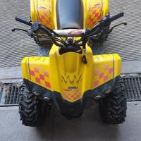 Quad Dinli 502