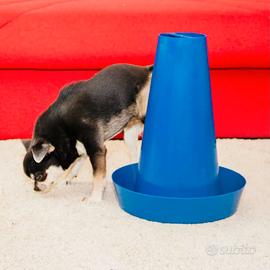 Cono per pipì in casa cani maschi taglia piccola