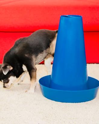 Cono per pipì in casa cani maschi taglia piccola