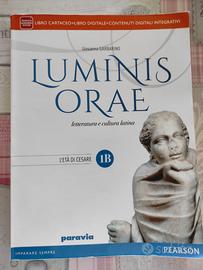 Luminis orae 1B