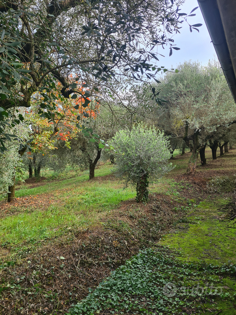Terreno e rustico - Vista 3