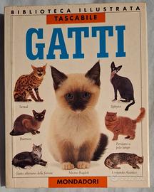Gatti