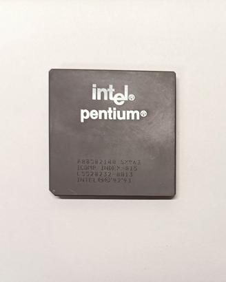 Processore Intel Pentium modello P54 1993