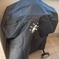 Barbecue weber con carrello e copertura