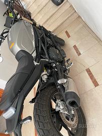 Benelli Leoncino 800