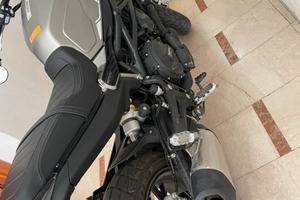 Benelli Leoncino 800