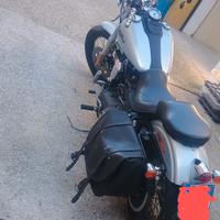 Harley Davidson street Bob 