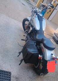 Harley Davidson street Bob 