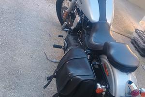 Harley Davidson street Bob 