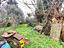 Immagine 28