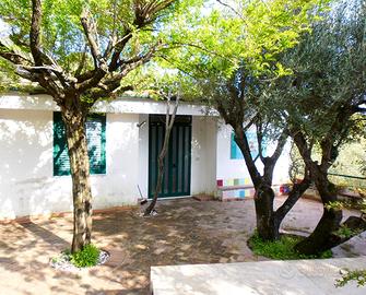 Villa tra mare fiori farfalle Caprioli Palinuro