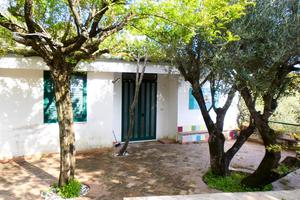 Villa tra mare fiori farfalle Caprioli Palinuro