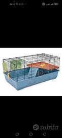 gabbie per coniglio/cavia peruviana