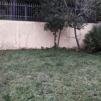Appartamento con giardino ingresso indipendente