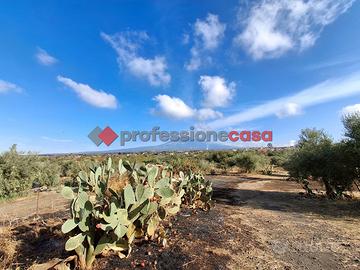 Terreno Agricolo Belpasso [Cod. rif 270VCG]