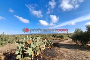 Terreno Agricolo Belpasso [Cod. rif 270VCG]