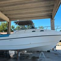 Mimi’ 780 cabin