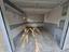 Immagine 19