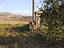 Immagine 29