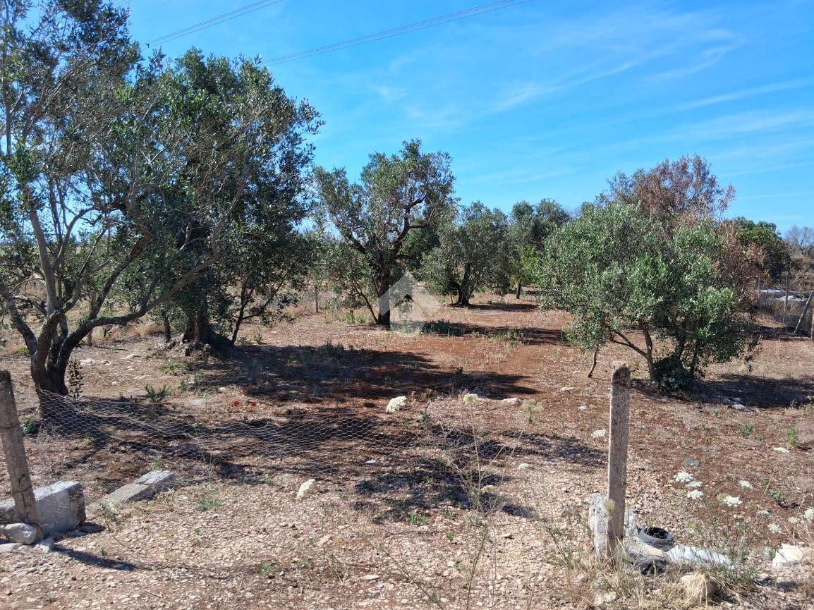 TER. AGRICOLO A NARDÒ - Vista 4
