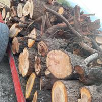 legna di OLIVO e MANDORLO - alta resa!! 