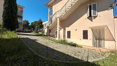 Bi locale con corte e P auto