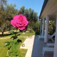 Referenziata CASA VACANZE PESCHICI PUGLIA GARGANO