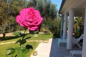 Referenziata CASA VACANZE PESCHICI PUGLIA GARGANO