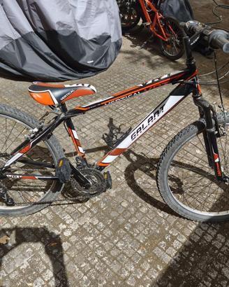 MTB Bambino/Ragazzo