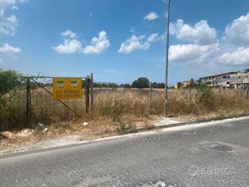 Lotto di terreno mq 5265 agricolo