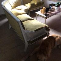 Salotto  style Louis xvi